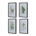 ZUN Set of 4 Botanical Black And White Fern Wall Art , Wall Decor for Living Room Dining Room Entryway, W2078130254
