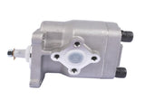 Hydraulic Pump Replacement for Kubota L175 L185 L225 L245 L295 L2000 L2201 35110-76100 34150-36100 42455147