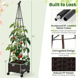 2-in-1 garden bed with plant boxes and trellis 47957466