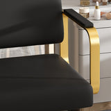 Hydraulic Salon Chair - 360&deg Swivel Barber Stylist Chair with Pump, Non-Tilting Hairdressing Chair W2700P318173