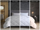 Cotton Down Alternative Featherless Comforter B03595045