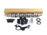 Camshaft Lifter Kit for 2004-2006 Volkswagen New Beetle Jetta MK4 Golf BEW 038145215 71153053