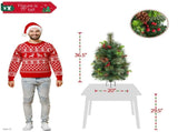 Set of 2 3FT Pre-lit Outdoor Pathway Christmas Trees with Stakes,Red Berries and 85295576