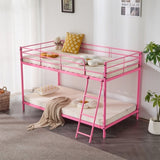 Pink Twin Size Low Loft Bed with Slanted Ladder Round Tube Metal Frame 69732381
