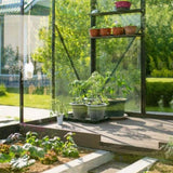 6x10 Hybrid Polycarbonate Greenhouse black 21321105