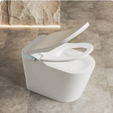 Smart Toilet with Built-in Heated Seat, Tankless Toilet with Autoing, Adjustable Seat Temp, W2894P199868