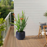 3 Pieces Ceramic Flowerpot, Modern Planter for Patio, Garden or Windowsills - Antique Gray W3273P321502