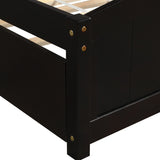 Twin size Platform Bed with Trundle, Espresso WF194304AAP
