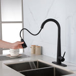 ZUN Kitchen Faucets with Pull Down Sprayer, Kitchen Sink Faucet with Pull Out Sprayer, Fingerprint 88256761