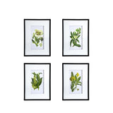 Set of 4 Botanical Flower Wall Art, Home Decor for Living Room, Dining Room, Bedroom, Hallway, 20" x W2078130294
