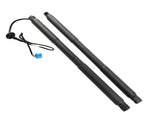 2x Trunk Lift Supports Shocks Fit for Mercedes-Benz GL350 GL450 GL550 ML350 W166 81797537