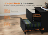 2-Drawer Rolling File Cabinet with Lockable Wheels, Printer Stand with Storage for Home Office 74654759