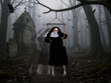 Outdoor Halloween Decorations 2 Packs Hanging Ghosts Decor with Lighted Up Eyes and Horror Scream, 21689566