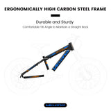 V20235 20 Inch Fat Tire Bike Adult 7 Speed Mountain Bike, Dual Disc Brakes, High Carbon Steel Frame, W709P285165