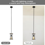 Vintage Rustic Pendant Light Metal Cage Pendants with Adjustable Length Farmhouse Caged Hanging 76771443