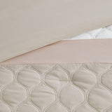 Queen 8 Piece Comforter Set B03594924