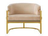 Modern Accent Chair Cozy Armchair Upholstered Reading Chair with Gold Metal Frame Living Room, N763P360688D