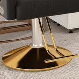 Professional Hydraulic Barber Chair - 360&deg Swivel with Adjustable Height, Stainless Steel 41738739