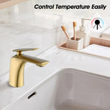 Single Hole Bathroom Sink Faucet with Pop Up Drain and Water Supply Hose, Single Handle Bathroom W1224P227855