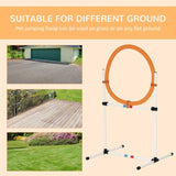 Dog Agility Training Equipment 70892126