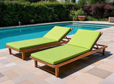 2PCS Set Outdoor Lounge Chair Cushion Replacement Patio Funiture Seat Cushion Chaise Lounge Cushion W2911P286269