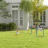 Dog agility training equipment 98072953