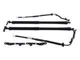 2x Tailgate Power Trunk Hatch Lift Support Shock Fit for Toyota RAV4 Limited 2.5L L4 44436334