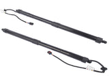 Pair Rear Electric Tailgate Gas Strut Fits for Hyundai Santa Fe Sport Base Sport Utility 2.0L 2.4L 22880587