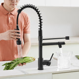 Commercial Kitchen Faucet with Pull Down Sprayer, Single Handle Single Lever Kitchen Sink Faucet W1932P155917