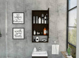 Burlington Rectangle Medicine Cabinet with Mirror Black Wengue B06280281