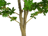 76" Artificial Enkianthus Tree with Black Plastic Pot N772P286779G