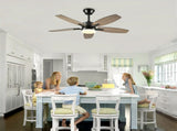 42" 5PCS Plywood Blades Ceiling Fan with Lights Remote Control,Quiet DC Motor Ceiling Fans 6 Speed W3596P462053