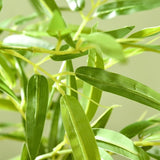 Artificial Plant/Green plants 81770790