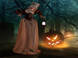 Halloween Decoration Talking Old Lady 04981910
