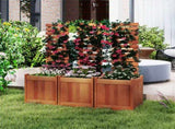 2-in-1 Wooden Raised Garden Bed with Trellis - Solid Wood , 16"x16"x48" Size 12098598