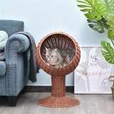 Pet Cat Bed/Cat House 31731376