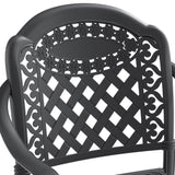 ZUN Cast Aluminum Patio Dining Chair 4PCS With Black Frame and Cushions In Random Colors W1710P166054