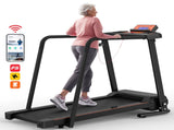 Walking Treadmill for Senior with Long Handrail, 300 lbs Capacity, 2.5HP Quiet Motor, Recovery 21573345
