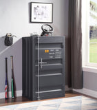 Gunmetal 1-Door Chest with Container Lock B062P209021