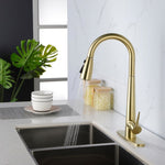 ZUN Gold Kitchen Faucets with Pull Down Sprayer, Kitchen Sink Faucet with Pull Out Sprayer,Fingerprint 93404954