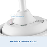 ZUN 44 In Intergrated LED Ceiling Fan Lighting with White ABS Blade W1367P182803