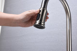 Kitchen Faucet with Pull Out Spraye W928P321798