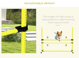 Dog agility training equipment 17200588