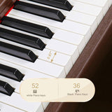 GDP-205 88 Key Standard Full Size Weighted Keyboards Digital Piano with 24025157
