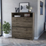 Cranbery 2-Shelf Shoe Rack Dark Brown B06280038