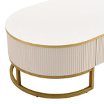 ZUN Modern Oval Coffee Table with Drawers,Curved Profile Design, Gold Metal Decor, Center Table for N735P192897K