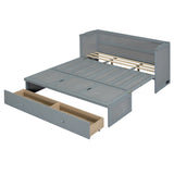 Queen Size Murphy Bed with USB Port and a Large Drawer, Gray N708P205905E