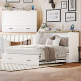 Queen Size Farmhouse Murphy Cabinet Bed with Charging Station, Foldable Platform Bed with Large 10043440