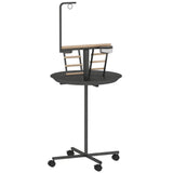 Bird Stand /Parrot Perch 11101858