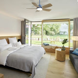 ZUN 42 Inch Ceiling Fans with LED Light 22W and Remote Control 5 ABS Fan Blades for Bedroom, Living W934P242549